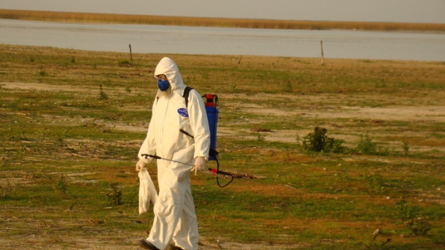 Estado está há 21 dias sem registro de morte de mamíferos aquáticos por gripe aviária
