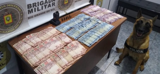 Cão localiza munições e dinheiro durante ação da polícia em São Pedro do Sul