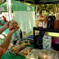 Confira o cronograma de feiras nesta semana em Santa Maria