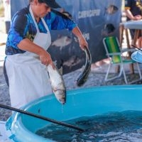 Feira do Peixe Vivo comercializou 39 toneladas de pescado em Santa Maria