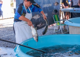 Feira do Peixe Vivo comercializou 39 toneladas de pescado em Santa Maria