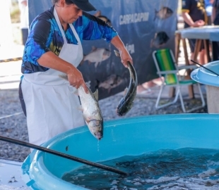 Feira do Peixe Vivo comercializou 39 toneladas de pescado em Santa Maria