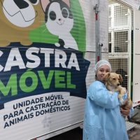 Cadastro para castração de cães machos e fêmeas está aberto em Santa Maria