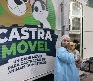 Cadastro para castração de cães machos e fêmeas está aberto em Santa Maria