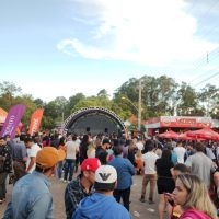 Festa do Peixe, Pão e Vinho ocorre neste final de semana no distrito de Boca do Monte