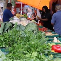 Confira o cronograma de feiras nesta semana em Santa Maria