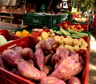 Confira o cronograma de feiras nesta semana em Santa Maria