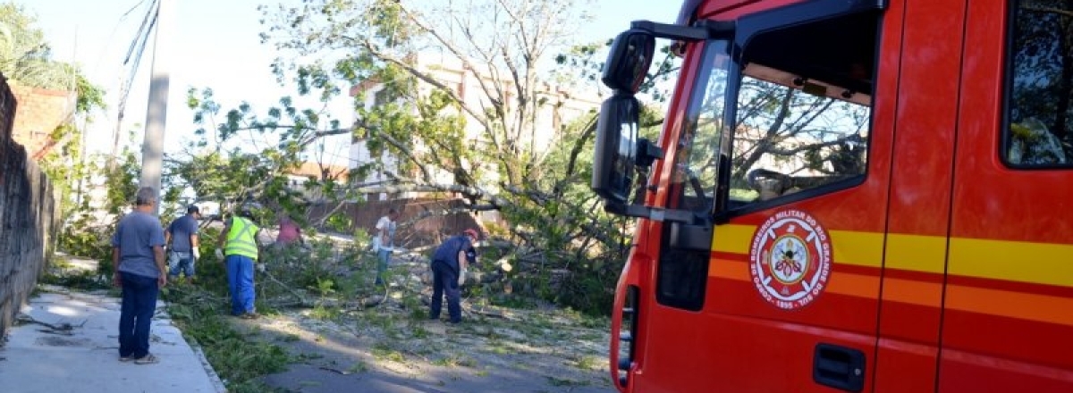 Ventos fortes provocam estragos e derrubam árvores em Santa Maria