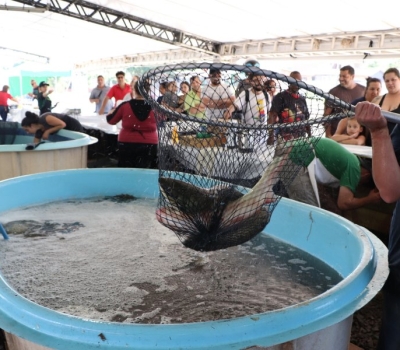 Feira do Peixe Vivo de Santa Maria comercializou 70 toneladas de pescados