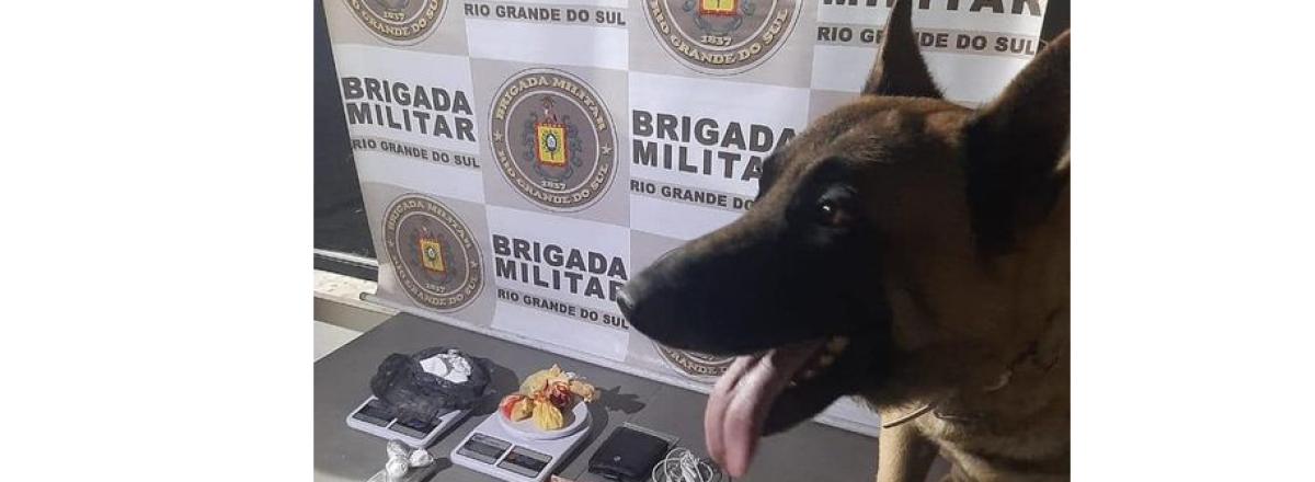 Com ajuda do cão Krug, Brigada Militar apreende droga em Santa Maria