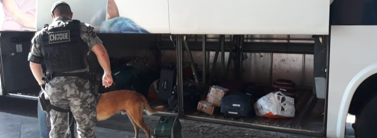 Cão da BM encontra munições em mala de passageiro na Rodoviária de Santa Maria
