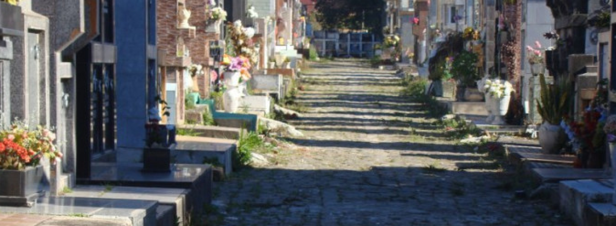 Visitas a cemitérios no dia de finados estão liberadas em Santa Maria