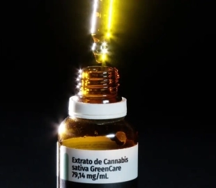 Anvisa amplia o uso da cannabis medicinal no Brasil