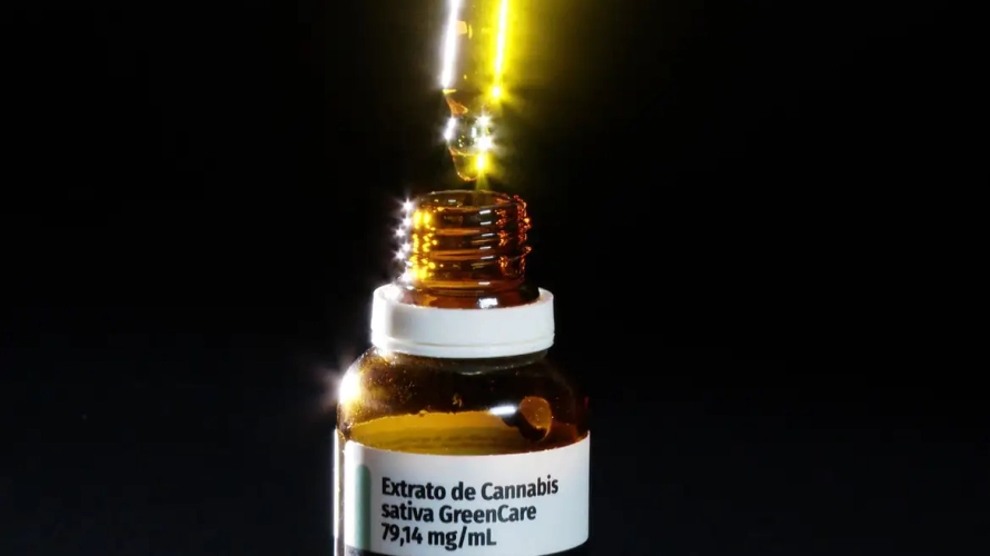 Anvisa amplia o uso da cannabis medicinal no Brasil