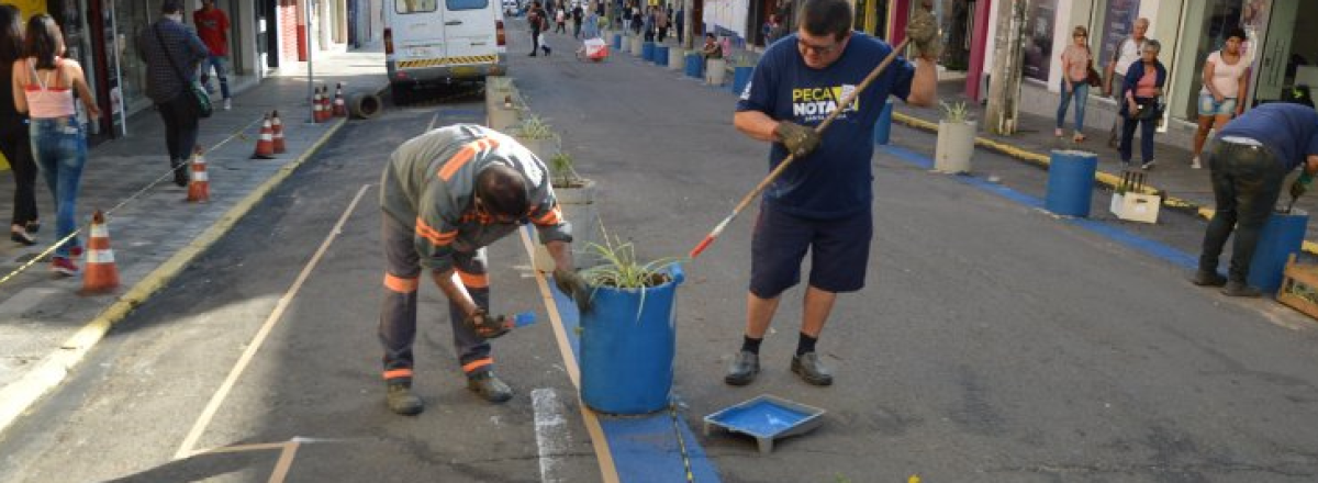 Trabalhos de pintura e colocação de floreiras estão na fase final na Rua Dr.Bozano