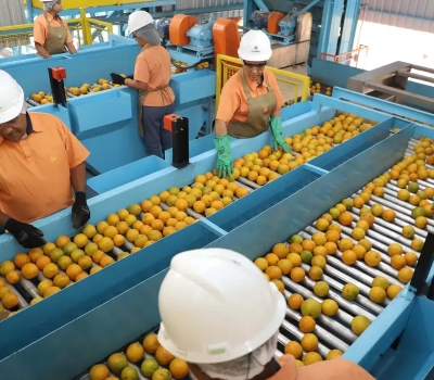 Confira a lista de quase 700 produtos que não serão taxados pelos EUA