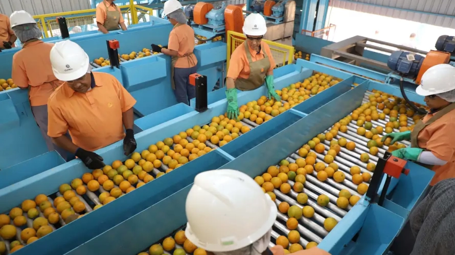 Confira a lista de quase 700 produtos que não serão taxados pelos EUA