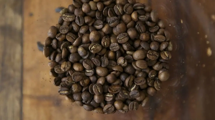 Tarifaço pode impactar vendas de suco de laranja, café, carne e frutas