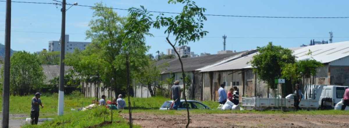 Prefeitura planta 55 mudas de árvores no Bairro Divina Providência
